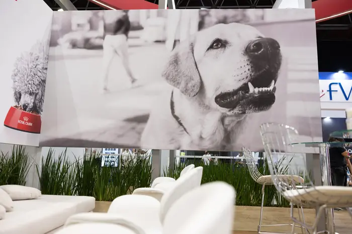 Organização de eventos — foto 8